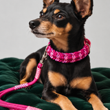 12 - PET À PORTER – PINK PASSION | Collare gioiello fucsia e bordeaux intrecciato | 29–35 cm