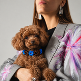 18 - PET À PORTER – ROSE COUTURE | Collare gioiello marrone e blu elettrico | 25–32 cm
