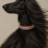 20 - PET À PORTER – VIOLET SAND | Collare gioiello beige e viola intrecciato | 25–32 cm