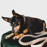 21 - PET À PORTER – SAND & LILAC | Guinzaglio in paracord intrecciato beige e marrone con maniglia in BioThane | 108 cm